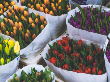 Fleuriste